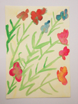 DSC05035.JPG