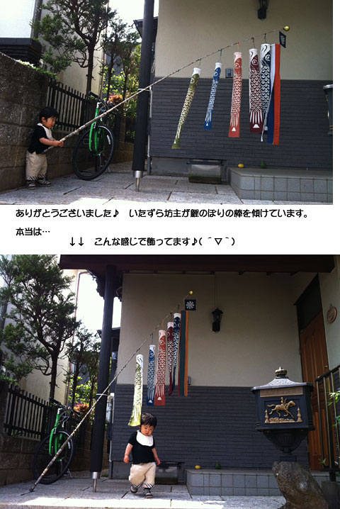 鯉のぼり:お客様の声'11-2.jpg